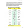 Guide pratique des installations électriques extérieures La norme NF C 17-200 commentée et mise en œ. Édition 2018 (PDF)