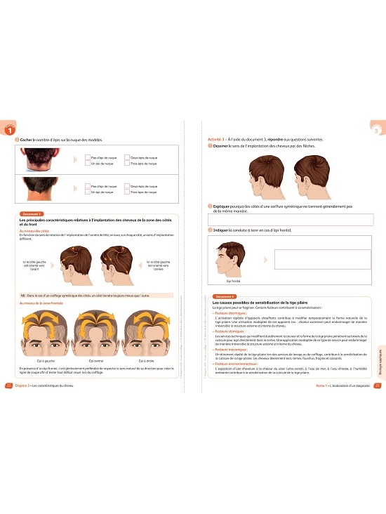 Coupe et coiffage - Pôle 1 T2 - CAP Métiers de la coiffure, édition 2020 (PDF)