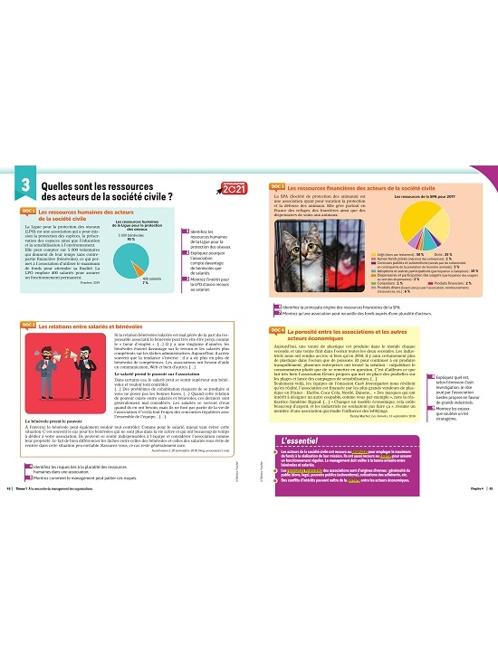 Perspectives MANAGEMENT 1re STMG, édition 2020 (PDF)