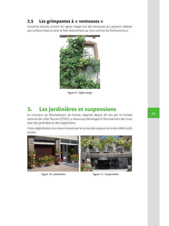 Végétalisation des murs - Conception, mise en oeuvre, entretien et maintenance (PDF)