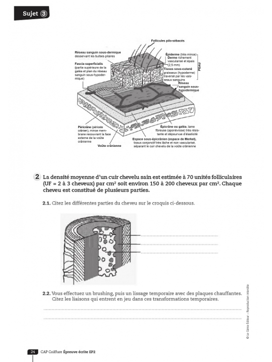 CAP coiffure - Sujets d'entraînement et d'examen Epreuve EP2 Coupe, forme, couleur - Partie écrite. Édition 2015 (PDF)