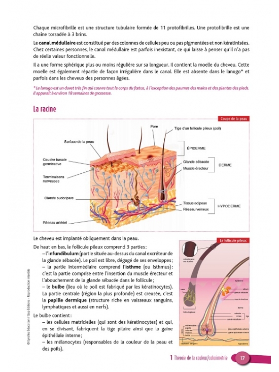 CAP Coiffure 1e et 2e années Tome 2 - Coloration et mise en forme permanente. Édition 2014 (PDF)