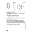 CAP Coiffure 1e et 2e années Tome 2 - Coloration et mise en forme permanente. Édition 2014 (PDF)