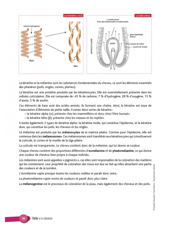 CAP Coiffure 1e et 2e années Tome 2 - Coloration et mise en forme permanente. Édition 2014 (PDF)