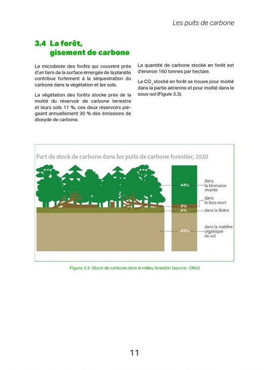 Le guide du bois et ses dérivés Le bois et la neutralité carbone. Édition 2023 (PDF)