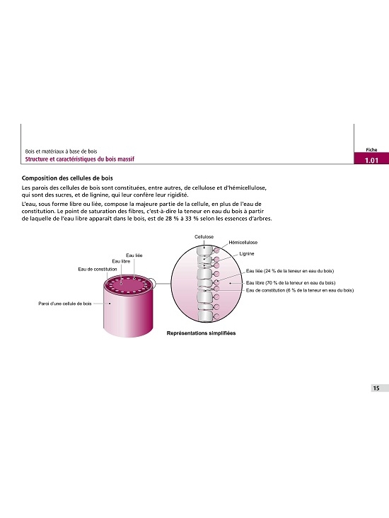 Préservation du bois dans les bâtiments 2ed - le moniteur. Édition 2023 (PDF)