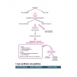 Tout le DSCG 1 - Gestion juridique fiscale et sociale - 2025-2026 - Révision Ed. 6  (PDF)