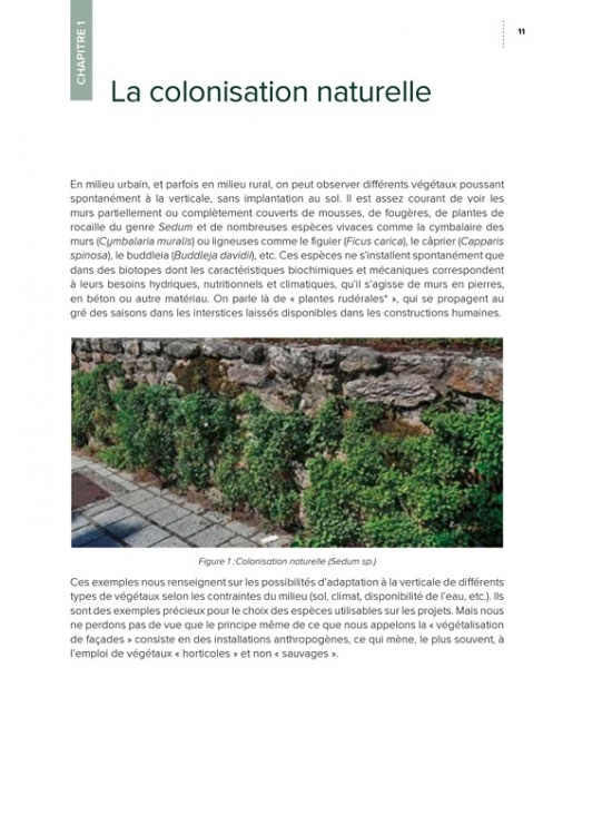 Façades végétalisées : Conception, mise en œuvre, entretien et maintenance (PDF)