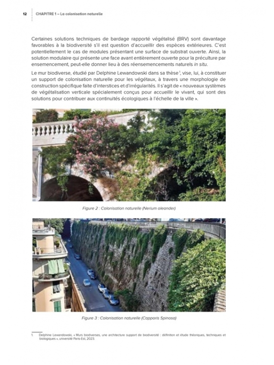 Façades végétalisées : Conception, mise en œuvre, entretien et maintenance (PDF)