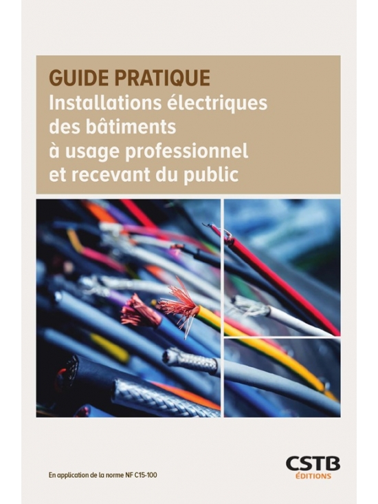 Installations électriques des bâtiments à usage professionnel et recevant du public (PDF)